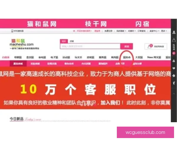 全新体育竞猜平台上线，智能分析助力精准投注体验